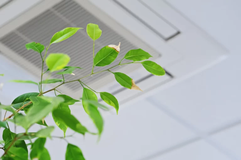 ventilation logement